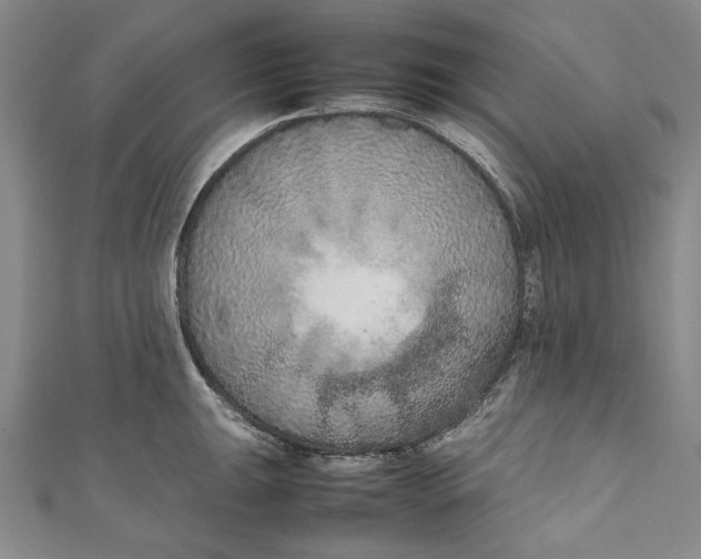 X0000111191047200907221105