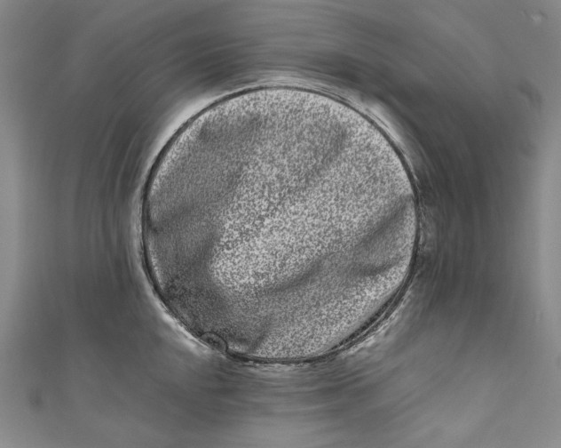 X0000111191048200907221105