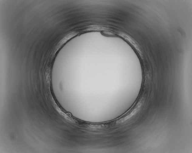 X0000111191049200907221105