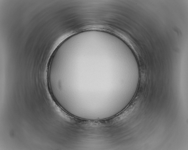 X0000111191050200907221105