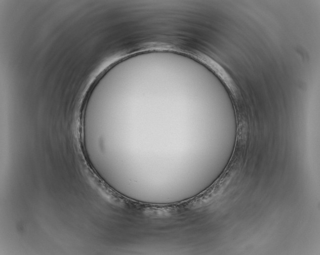 X0000111191051200907221105