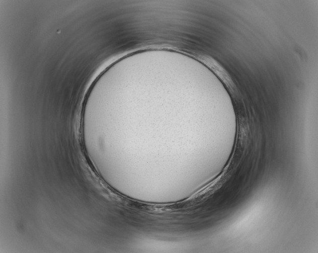 X0000111191052200907221105