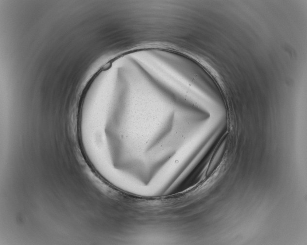 X0000111191054200907221105