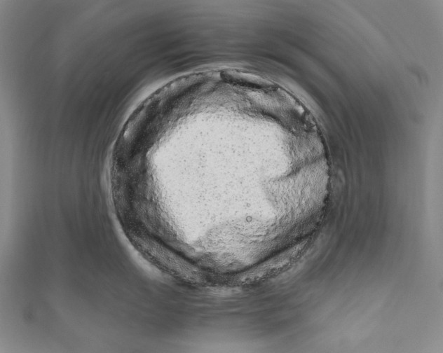 X0000111191055200907221105