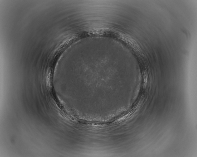 X0000111191060200907221104