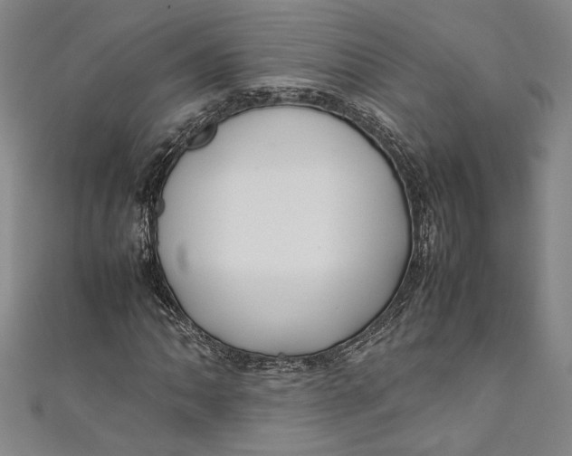 X0000111191062200907221104