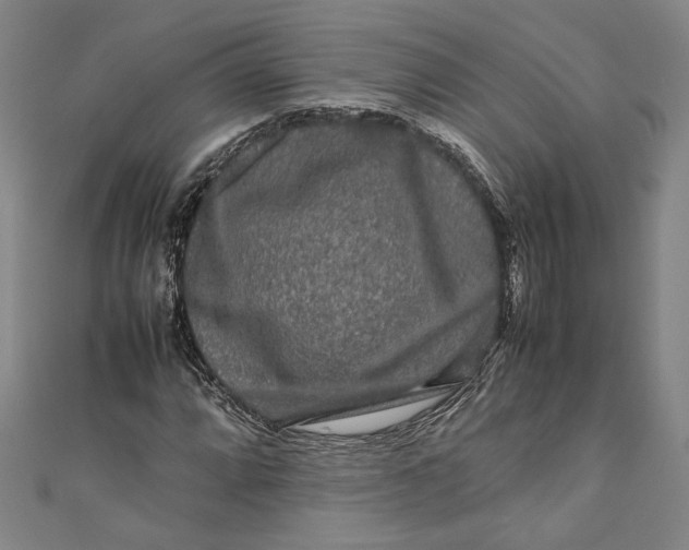 X0000111191064200907221104