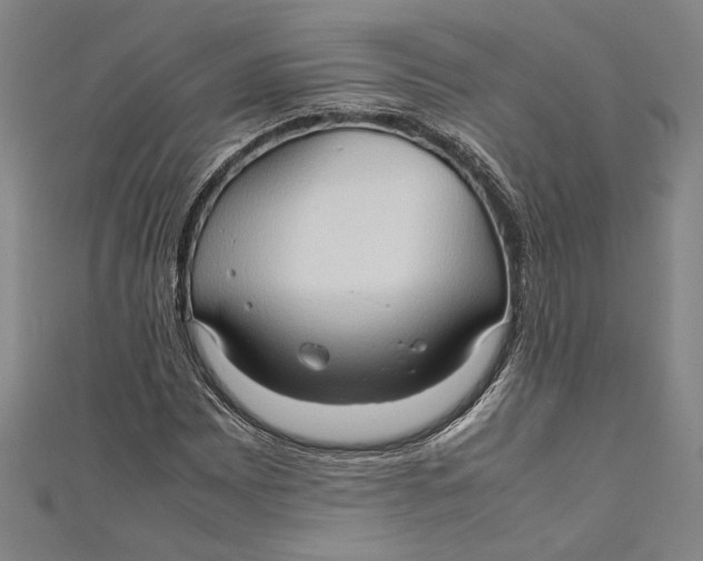 X0000111191065200907221104