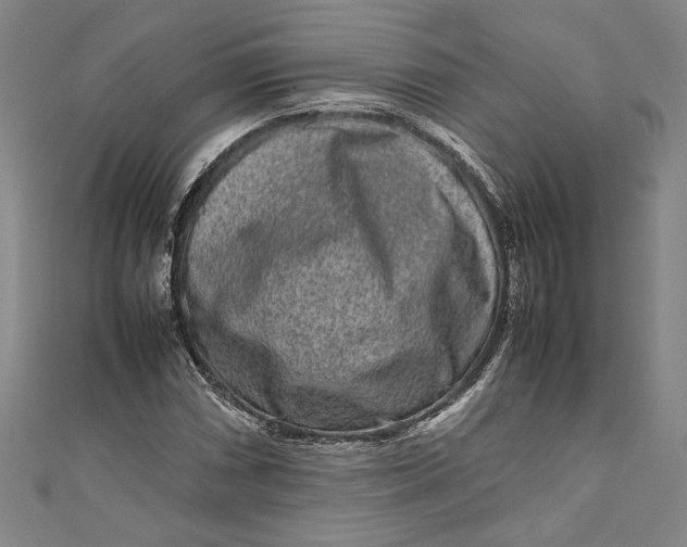 X0000111191066200907221104