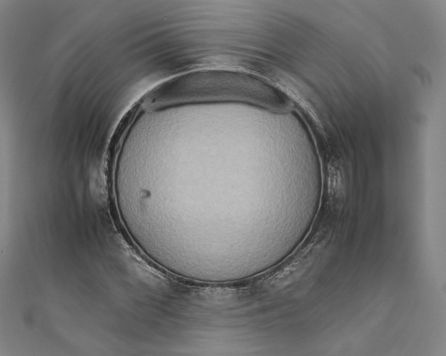 X0000111191068200907221104