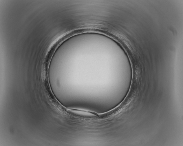 X0000111191069200907221104