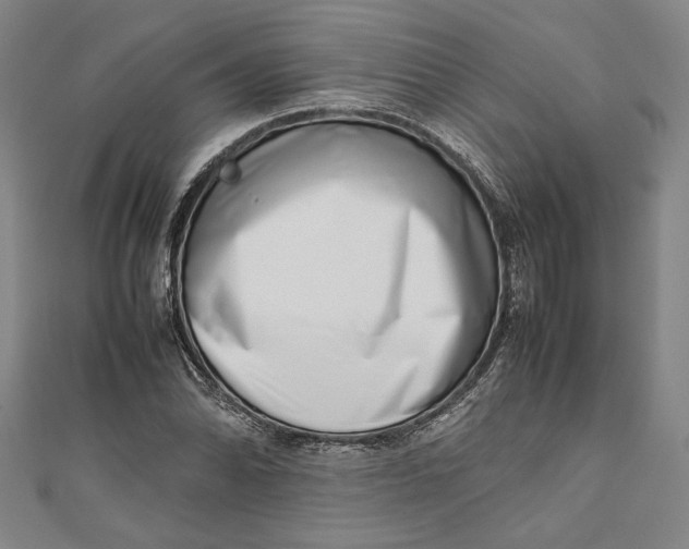 X0000111191070200907221104