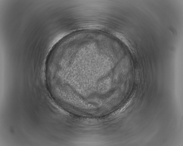 X0000111191071200907221104