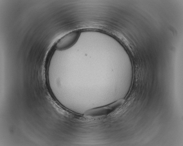 X0000111191072200907221104