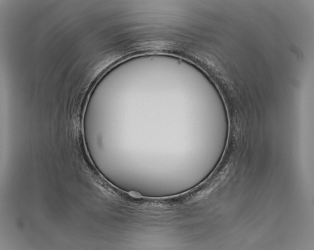 X0000111191073200907221104