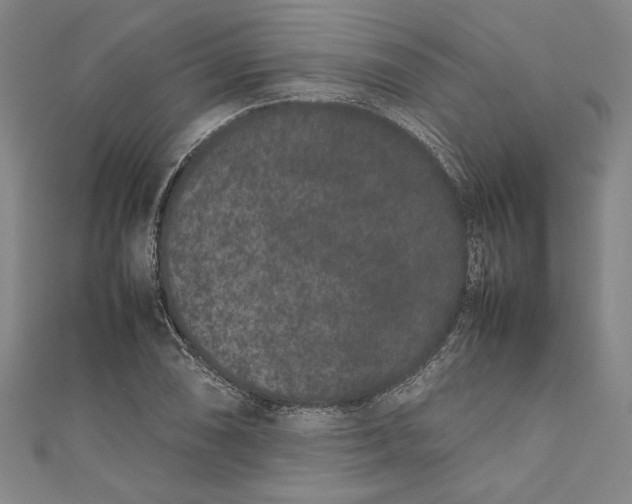 X0000111191074200907221104