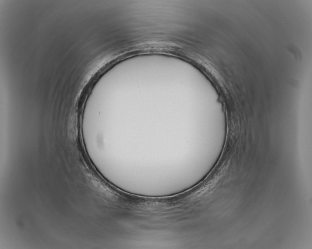 X0000111191075200907221104