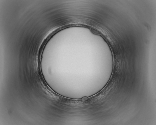 X0000111191076200907221104