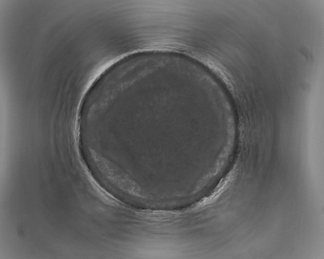 X0000111191077200907221104