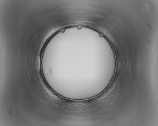 X0000111191079200907221104