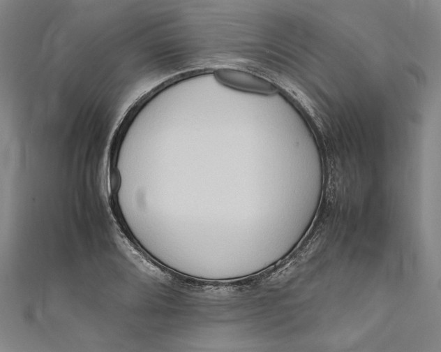 X0000111191080200907221104