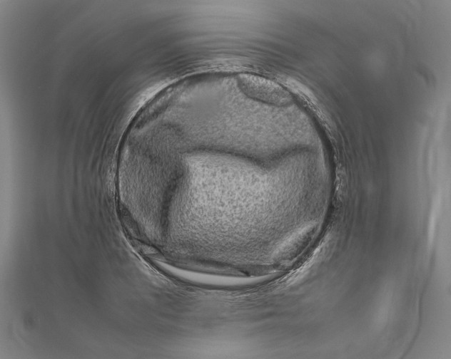 X0000111191081200907221104