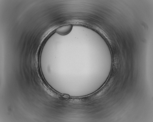 X0000111191082200907221104