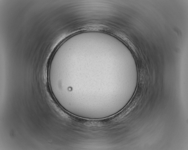 X0000111191083200907221104