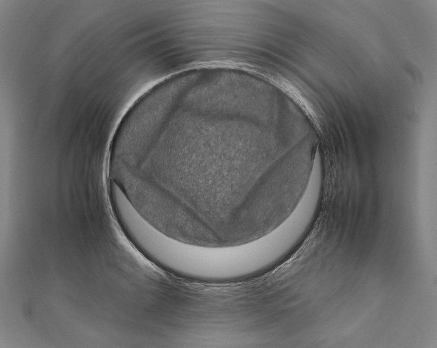 X0000111191084200907221104