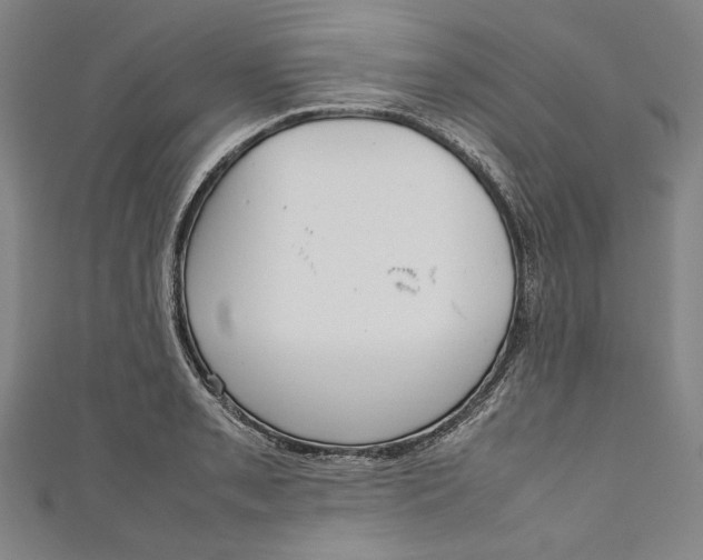 X0000111191085200907221104