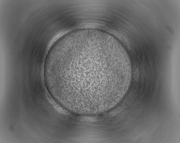 X0000111191086200907221104