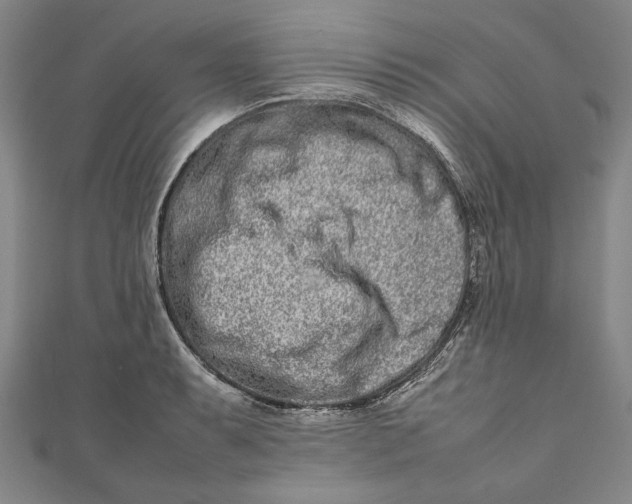 X0000111191087200907221104