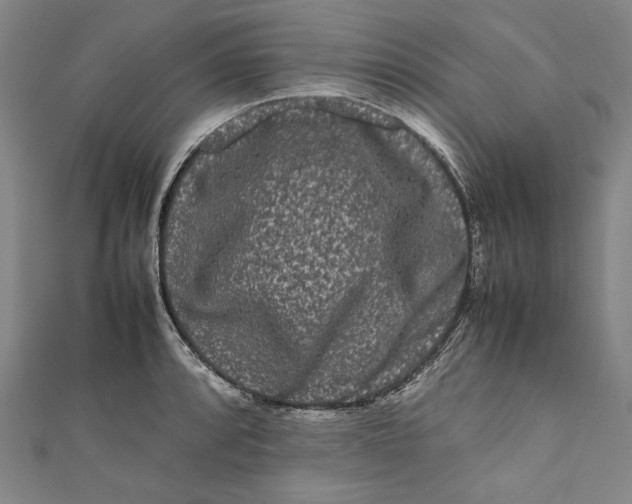 X0000111191088200907221104