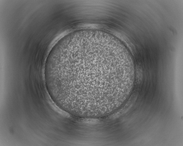 X0000111191090200907221104