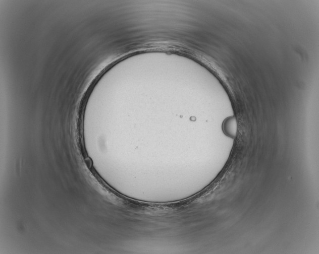 X0000111191091200907221104