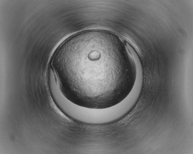 X0000111191092200907221104