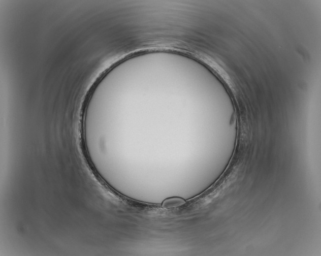 X0000111191093200907221104