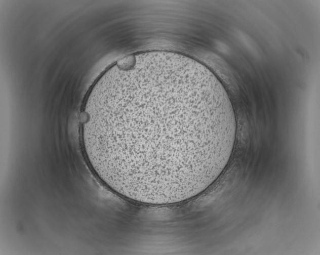 X0000111191094200907221104