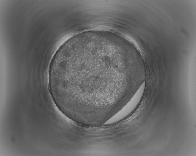 X0000111191095200907221104