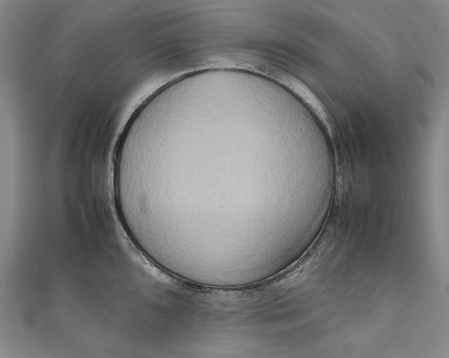 X0000111191096200907221104