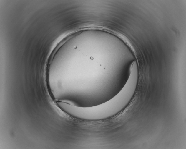 X0000111191098200907221104