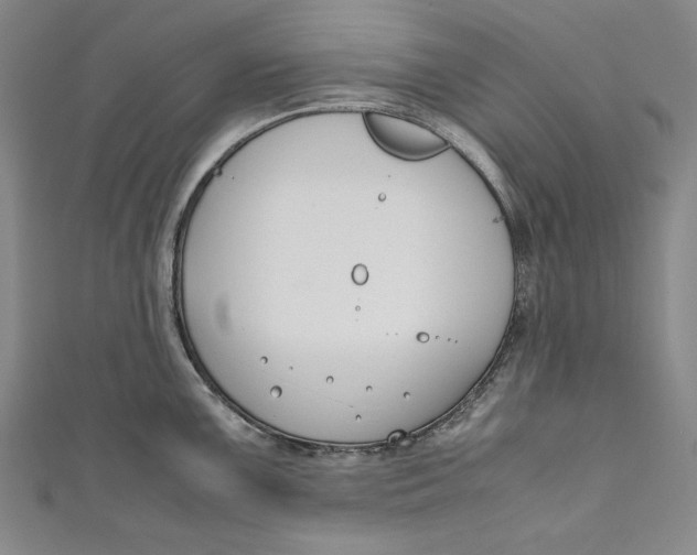 X0000111191099200907221104