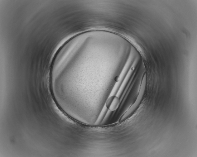 X0000111191100200907221104