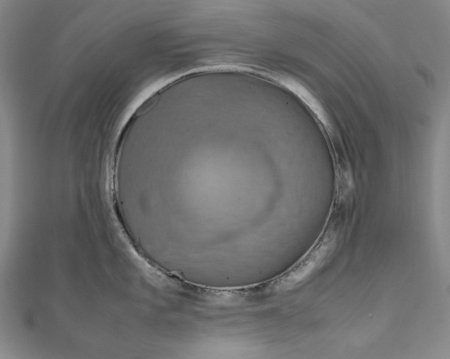 X0000111191101200907221104