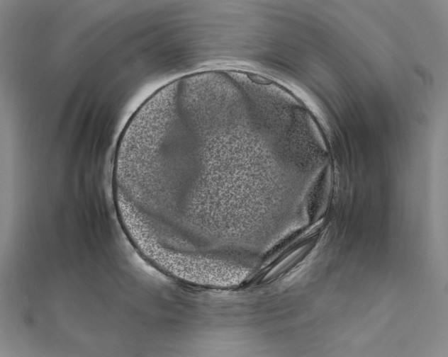 X0000111191102200907221104