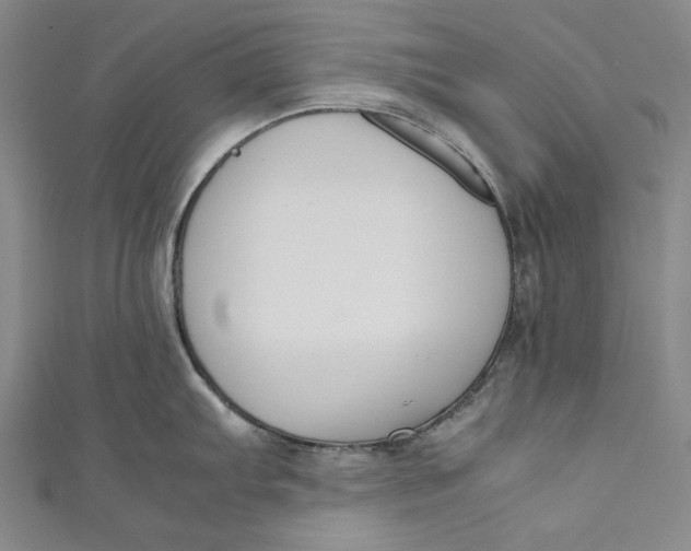 X0000111191103200907221104