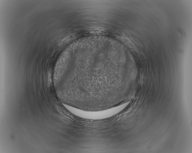 X0000111191106200907221103