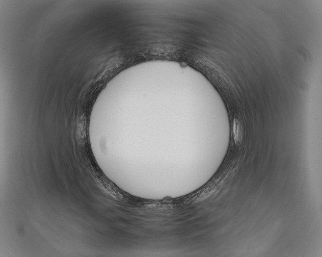 X0000111191107200907221103