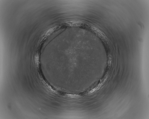 X0000111191108200907221103