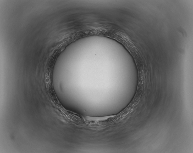 X0000111191109200907221103